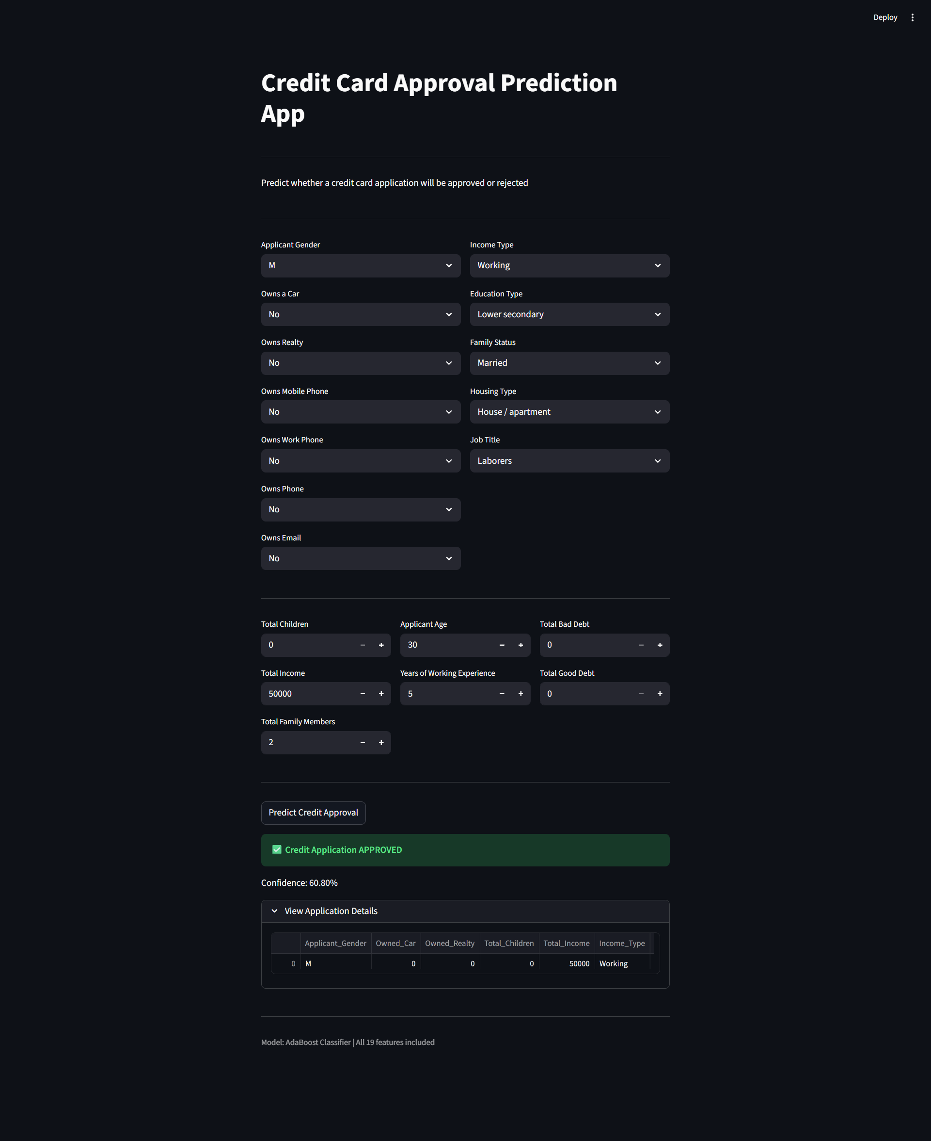 Credit approval project screenshot