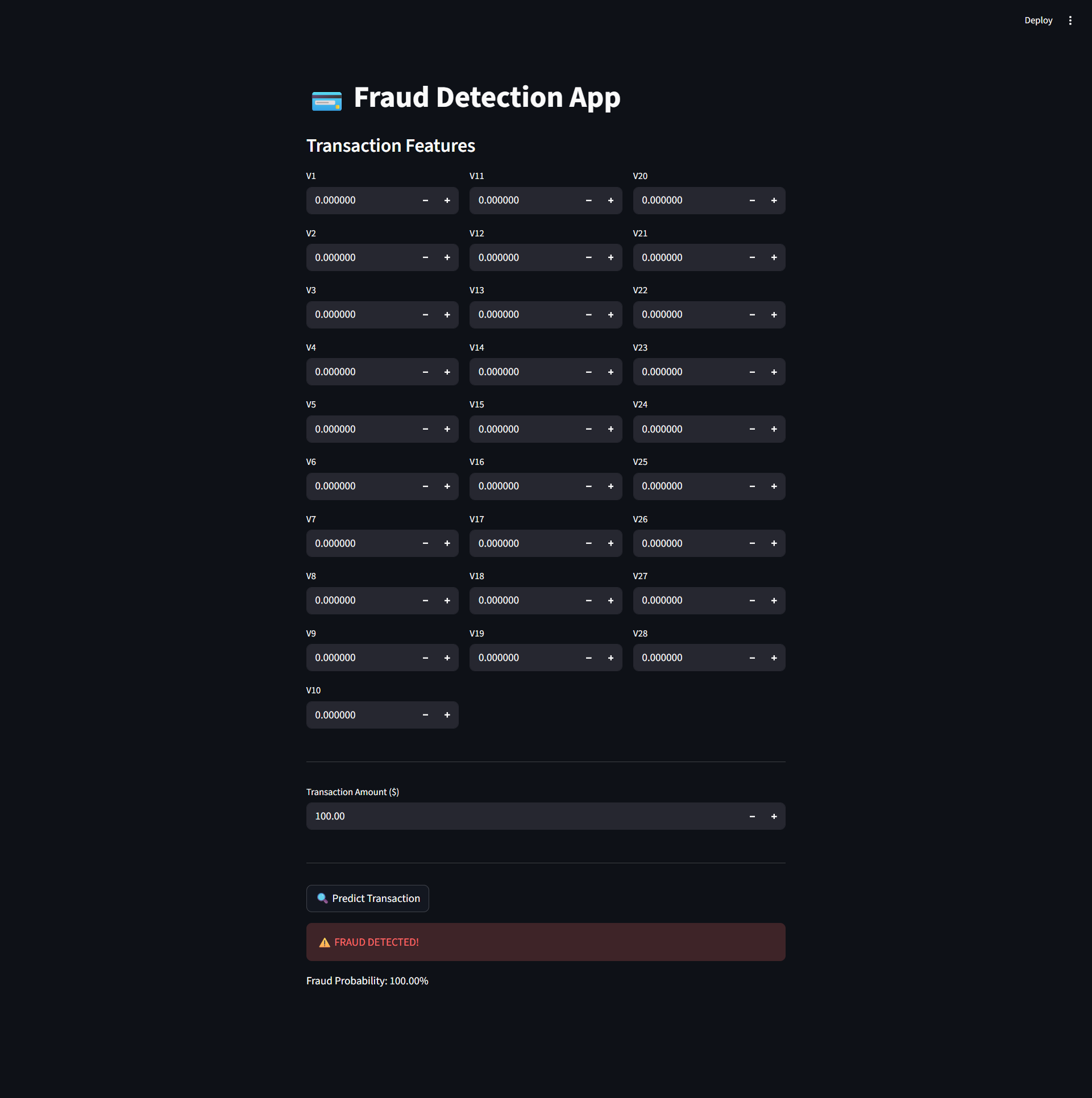 Fraud detection project screenshot